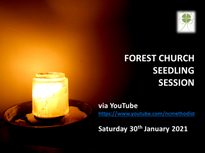 Forest Church Seedling Jan21