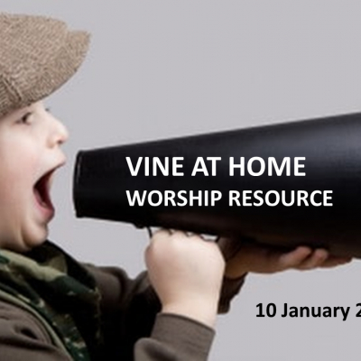 VINE AT HOME 10 Jan 21-pptx