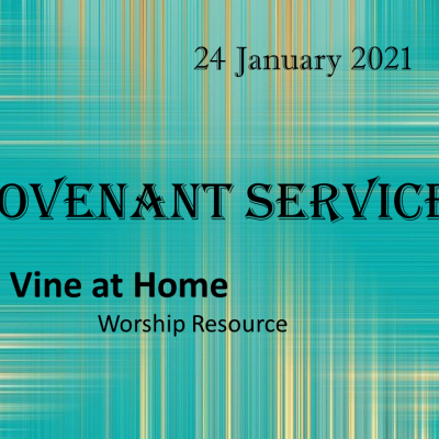 VINE AT HOME 24 Jan 2021-pptx