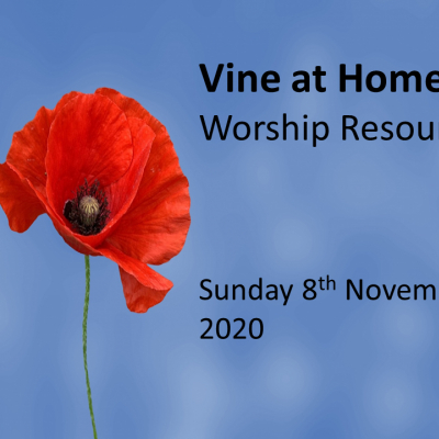 VINE AT HOME 8 Nov 2020